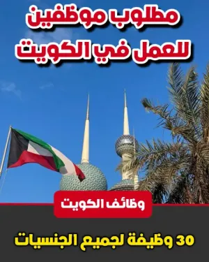 30 وظيفة شاغرة في شركة V2X في الكويت