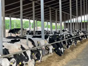 مطلوب عمال مزارعة إنتاجية نموذجية للعمل في الكويت