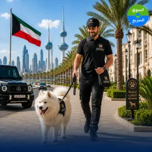مرافق حيوان أليف (موظف تمشية كلب) للعمل في الكويت بشكل متفرغ مع المبيت والإقامة الدائمة
